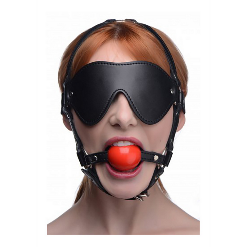 ST Blindfold Harness with Ball Gag